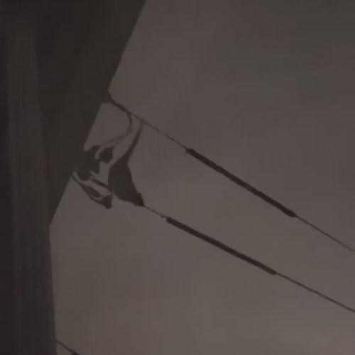 Possum guard in action: a possum on an overhead service line loses its grip on the rotating guards
